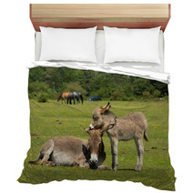 New Forest Hampshire England UK Mother And Baby Donkey Summer Sunshine Bedding 85720363