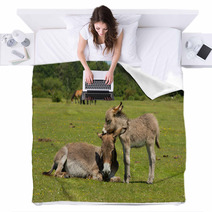 New Forest Hampshire England UK Mother And Baby Donkey Summer Sunshine Blankets 85720363