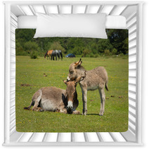 New Forest Hampshire England UK Mother And Baby Donkey Summer Sunshine Nursery Decor 85720363