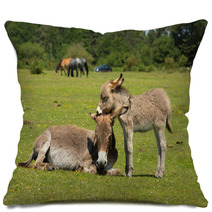 New Forest Hampshire England UK Mother And Baby Donkey Summer Sunshine Pillows 85720363