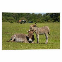 New Forest Hampshire England UK Mother And Baby Donkey Summer Sunshine Rugs 85720363