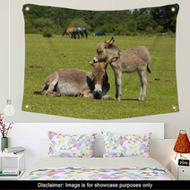 New Forest Hampshire England UK Mother And Baby Donkey Summer Sunshine Wall Art 85720363