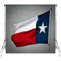 New Texas Flag Backdrops 19483206