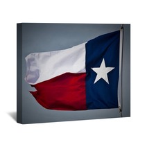 New Texas Flag Wall Art 19483178