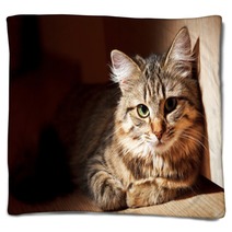 Nice Cat Blankets 51100472
