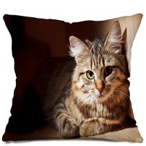 Nice Cat Pillows 51100472