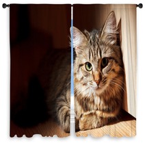 Nice Cat Window Curtains 51100472