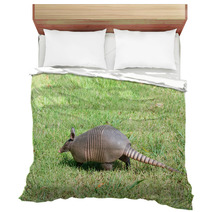Nine-banded Armadillo Is The Lawn Bedding 97238599