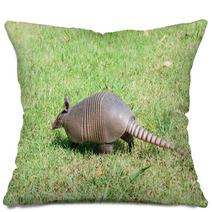 Nine-banded Armadillo Is The Lawn Pillows 97238599