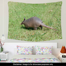 Nine-banded Armadillo Is The Lawn Wall Art 97238599