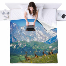 North American Elks Blankets 68197229