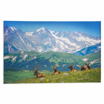 North American Elks Rugs 68197229