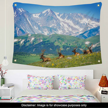 North American Elks Wall Art 68197229