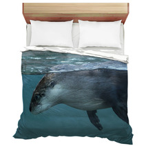 North American River Otter (Lontra Canadensis). Bedding 73553399