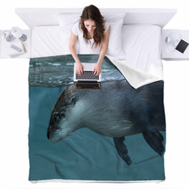 North American River Otter (Lontra Canadensis). Blankets 73553399