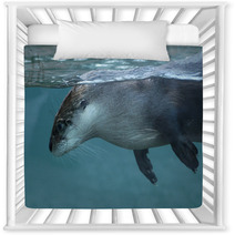 North American River Otter (Lontra Canadensis). Nursery Decor 73553399
