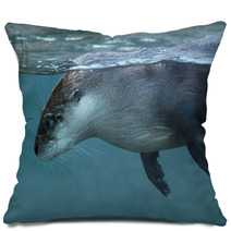 North American River Otter (Lontra Canadensis). Pillows 73553399