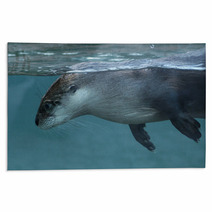 North American River Otter (Lontra Canadensis). Rugs 73553399