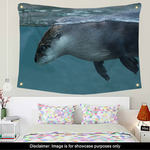North American River Otter (Lontra Canadensis). Wall Art 73553399