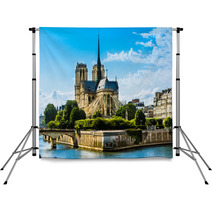 Notre Dame De Paris Cathedral Backdrops 66583366