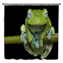Nurhayati Flying Frog, (Rhacophorus Norhayatii) Bath Decor 92534790