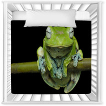 Nurhayati Flying Frog, (Rhacophorus Norhayatii) Nursery Decor 92534790