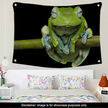 Nurhayati Flying Frog, (Rhacophorus Norhayatii) Wall Art 92534790