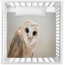 Owl Nursery Decor 103314895
