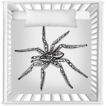 Spider Nursery Decor 39065839