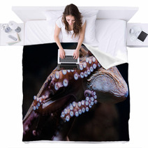 Octopus Blankets 100819969