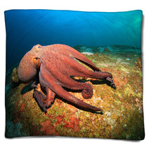 Octopus Blankets 78478794