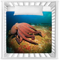 Octopus Nursery Decor 78478794