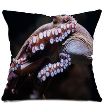 Octopus Pillows 100819969