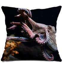 Octopus Pillows 100819973