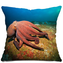 Octopus Pillows 78478794