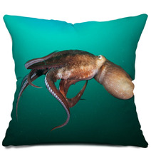 Octopus Pillows 95624536