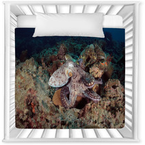 Octopus Underwater In Andaman Sea, Thailand Nursery Decor 80961154