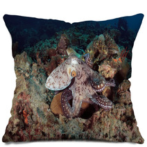 Octopus Underwater In Andaman Sea, Thailand Pillows 80961154
