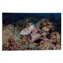 Octopus Underwater In Andaman Sea, Thailand Rugs 80961154