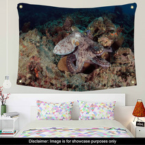 Octopus Underwater In Andaman Sea, Thailand Wall Art 80961154