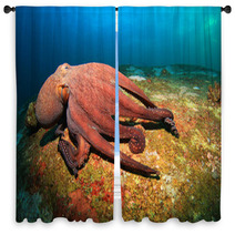 Octopus Window Curtains 78478794