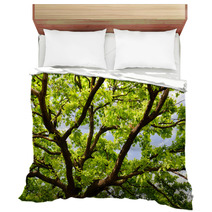 Old Oak Branches Bedding 65554694