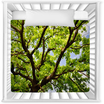 Old Oak Branches Nursery Decor 65554694