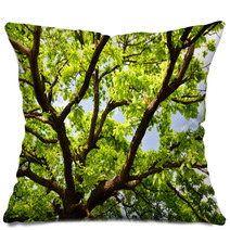 Old Oak Branches Pillows 65554694