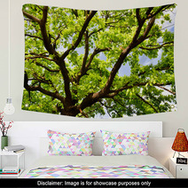 Old Oak Branches Wall Art 65554694