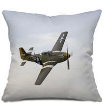 Old Plane Pillows 1627146