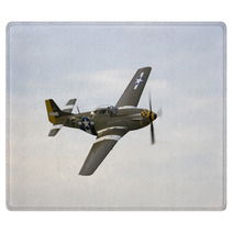 Old Plane Rugs 1627146