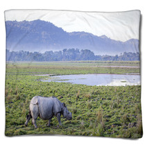 One Horned Rhinoceros In Kaziranga National Park Blankets 62390743