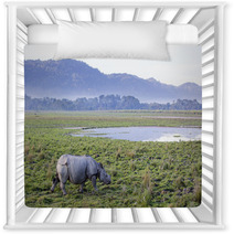 One Horned Rhinoceros In Kaziranga National Park Nursery Decor 62390743