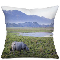 One Horned Rhinoceros In Kaziranga National Park Pillows 62390743